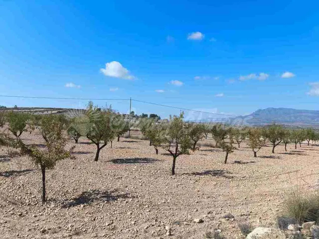 Suelo rústico en Venta en Jumilla Murcia — 11
