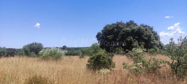 ¡Terreno de 2800 m2 en zona ermita! - foto 2