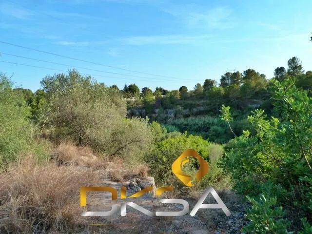 A la venta amplio terreno rústico a un paso del Río Mijares, - foto 5
