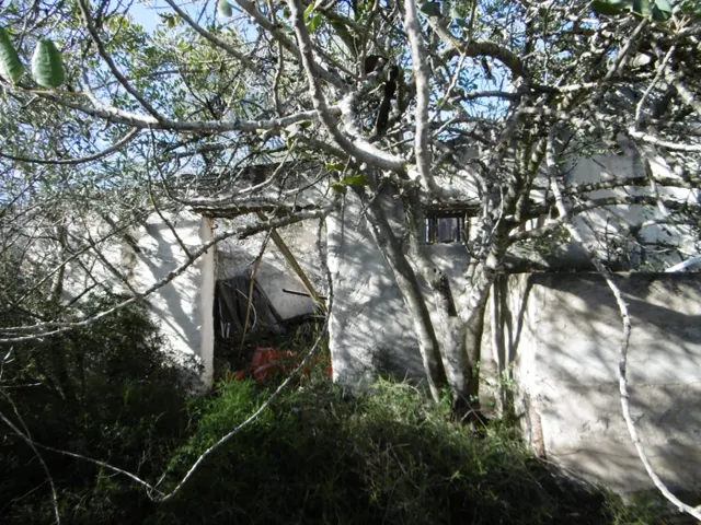MASIA PARA REFORMAR  CON ALMACENES EN UNA FINCA DE 10 HECTÁREAS — 17