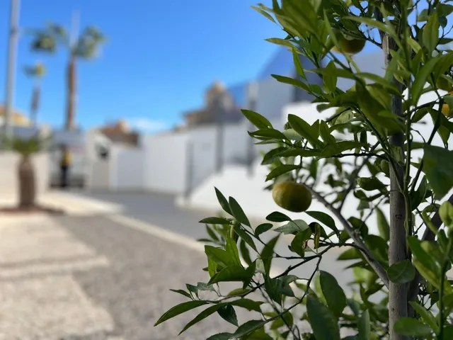 CHALET CON SOLÁRIUM, PISCINA Y SÓTANO — 30