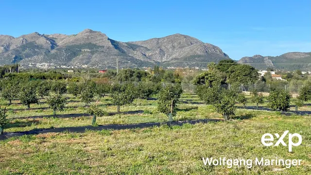 VILLA SEÑORIAL EN BENIDOLEIG | Privacidad, naturaleza y elegancia mediterránea — 15