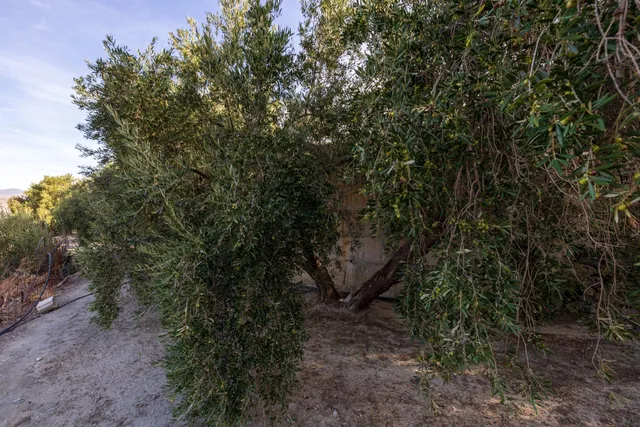 Finca rústica en venta en Pinos del Valle (Valle de Lecrín) — 30