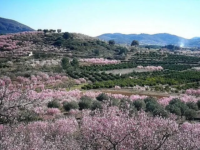 Villa Paula. Villa de lujo con fantásticas vistas en venta en Alcalali — 18