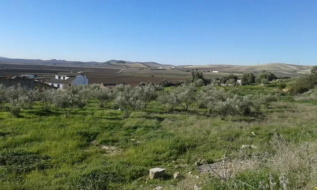 SUELO URBANIZABLE EN VENTA EN ESPERA (CÁDIZ) — 4