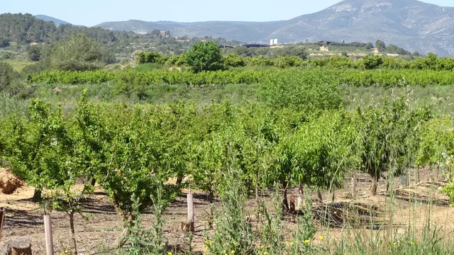 Terreno en venta en Vilamarxant — 5