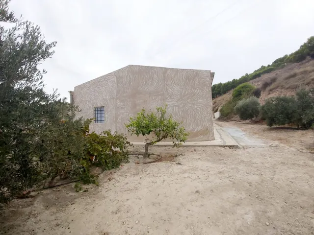 SE VENDE CASA DE CAMPO DIAFANA MUY CERCA DE ASPE — 21