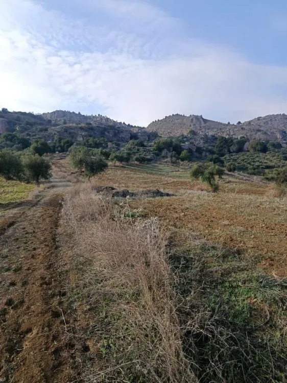 Parcela en venta - Alora pueblo — 4