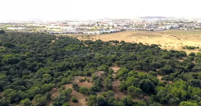 TU PROYECTO, TU CASA, TU ESTILO DE VIDA | PARCELA URBANA DE  - foto 2