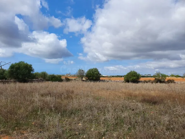 Terreno rústico de más de 18.500 m2 cerca de Ses Salines - foto 5