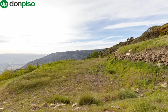 Cortijo Sierra Nigüelas — 43