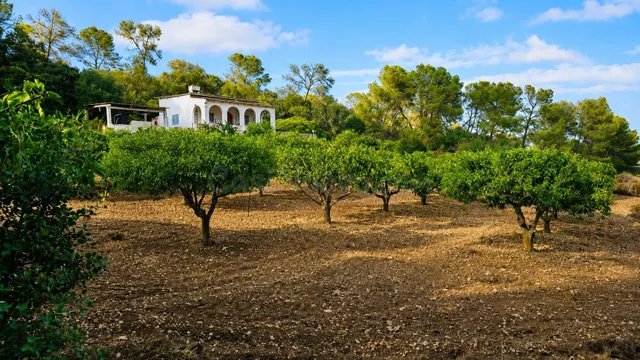 Finca rústica con casa y amplia parcela en Algaida