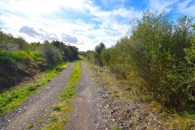 Finca rústica con posibilidad de construir una vivienda en M - foto 5