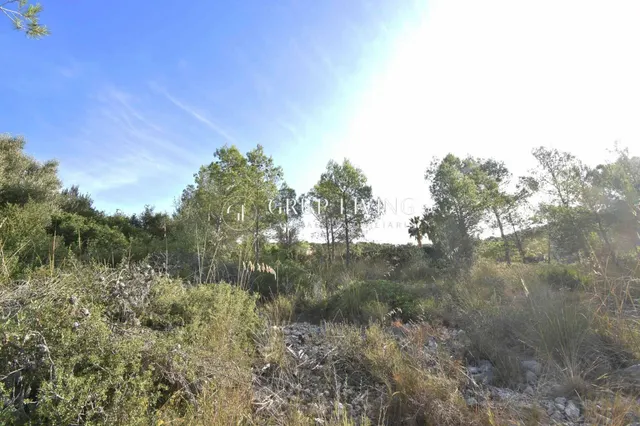 TERRENO CON BUENA ORIENTACIÓN Y VISTAS EN MAS MESTRE — 8