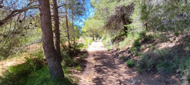 Finca rustica para rehabilitar — 10
