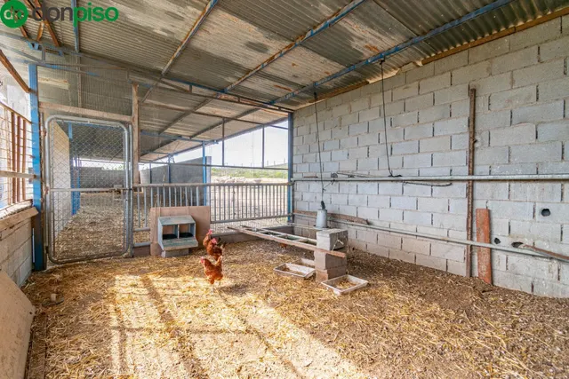 Finca rústica en venta con casa, nave y piscina - foto 4