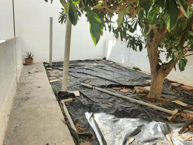 Planta baja con patio — 5