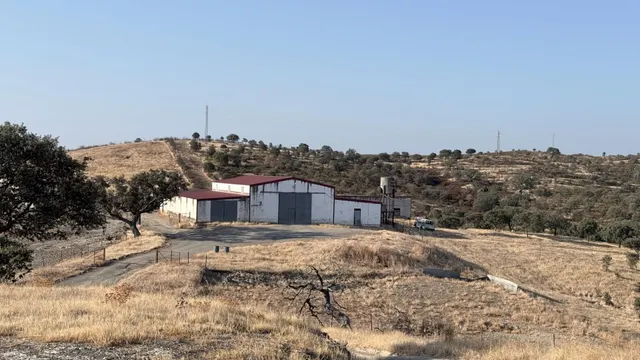 Finca rústica de 656 ha en Puebla de Guzmán (Huelva) — 13