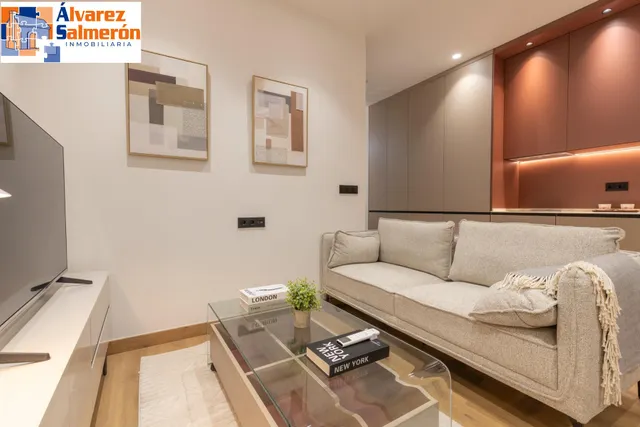 MODERNO ESTUDIO TIPO LOFT AMUEBLADO EN URBANIZACIÓN VILLA PINEDA - ZONA VILLAREJO — 6