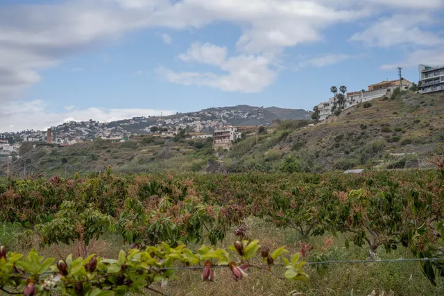 Finca con unas vistas de ensueño en Salobreña — 44