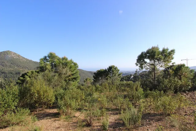 Parcela exclusiva con vistas al Mediterráneo en Benahavís — 17