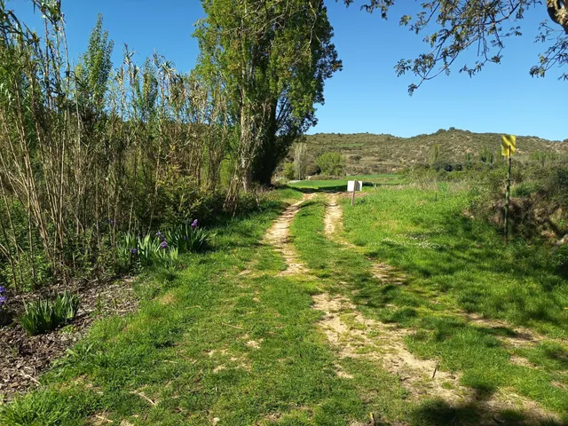 Finca en Sansoáin, 30 " de Pamplona — 6