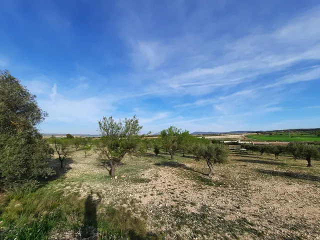 TERRENO PARA SU CASA DE CAMPO EN CANTO BLANCO — 9