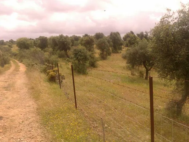 ESPECTACULAR FINCA RÚSTICA 200 HECTÁREAS PARA AGRICOLA, GANADERO, FORESTAL, CAZA EN VALVERDE HUELVA — 7