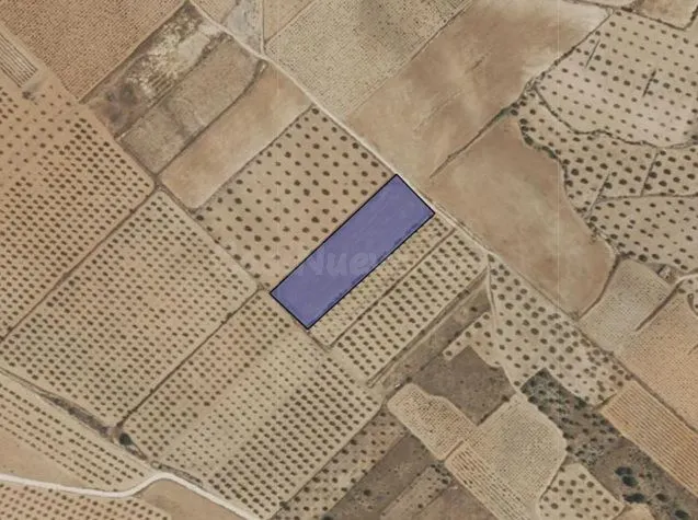 Parcela en venta - Ayuntamiento - foto 4