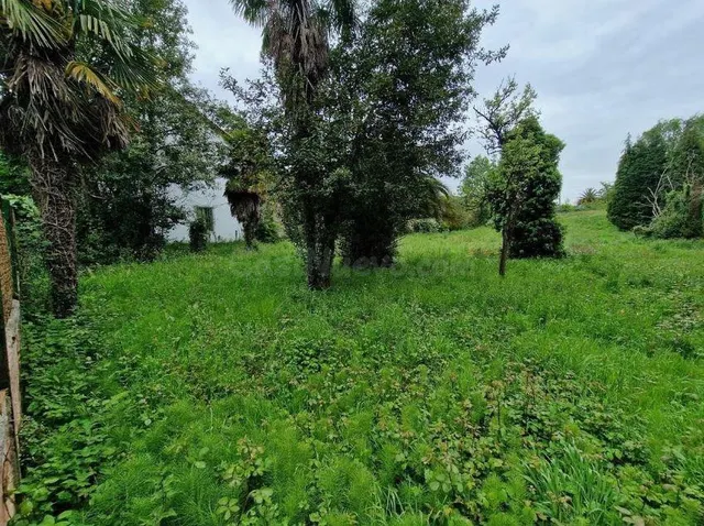 Terreno urbano