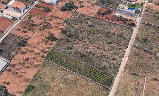 Terreno rural en venta - Centro - foto 2