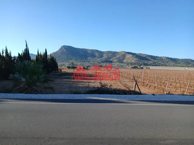 ¡¡ MAGNÍFICA PARCELA EN ASPE, 12.000 m2 !! — 5