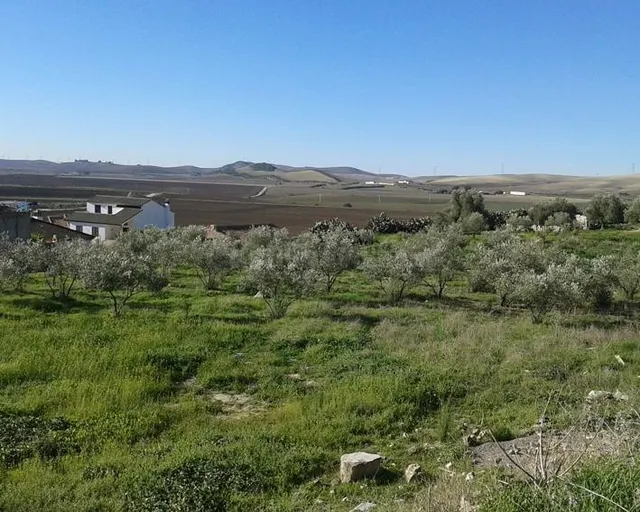Suelo Urbanizable Sectorizado en Espera (Cádiz) - foto 3