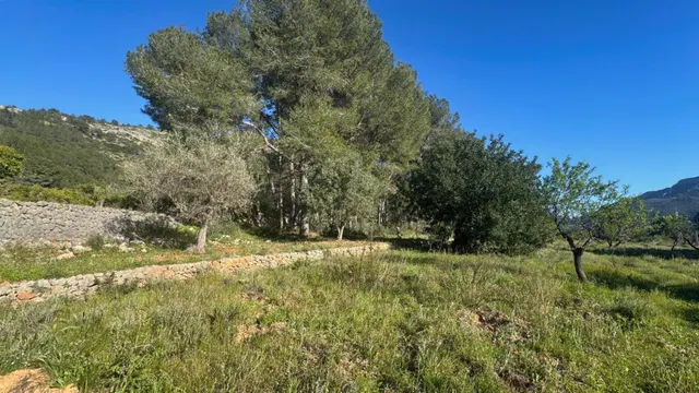 Parcela rústica edificable en entorno natural privilegiado — 7