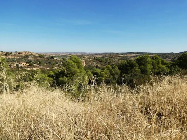 Suelo rústico en Venta en Maella Zaragoza — 21