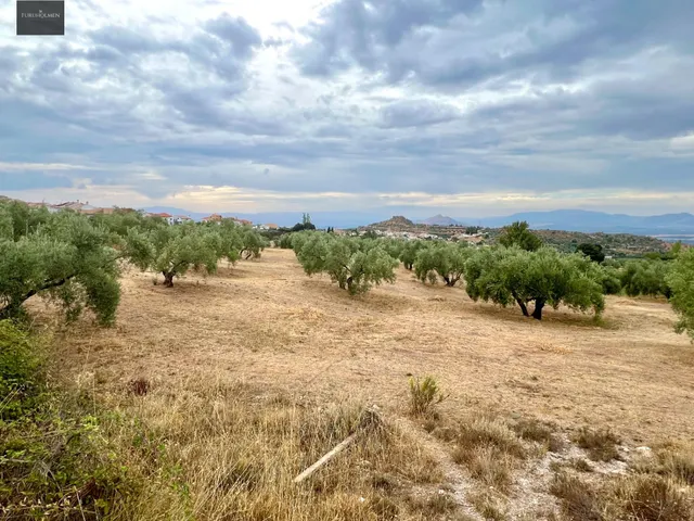 NIVAR - FINCA DE OLIVOS — 19