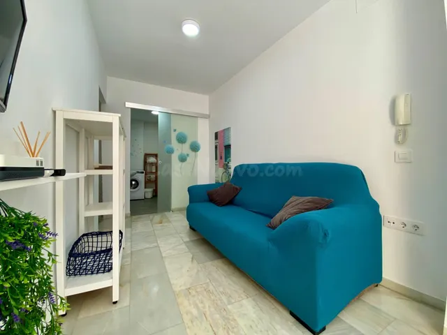 Apartamento reformado de 1 dormitorio en zona Las Palmeras — 5