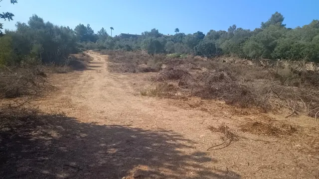 Terreno rústico en Pòrtol, Marratxí, a pocos metros del casco urbano — 6