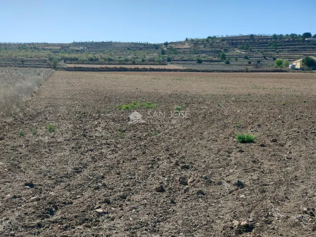 SE VENDE PARCELA EN BARBARROJA CERCA DEL PUEBLO — 2