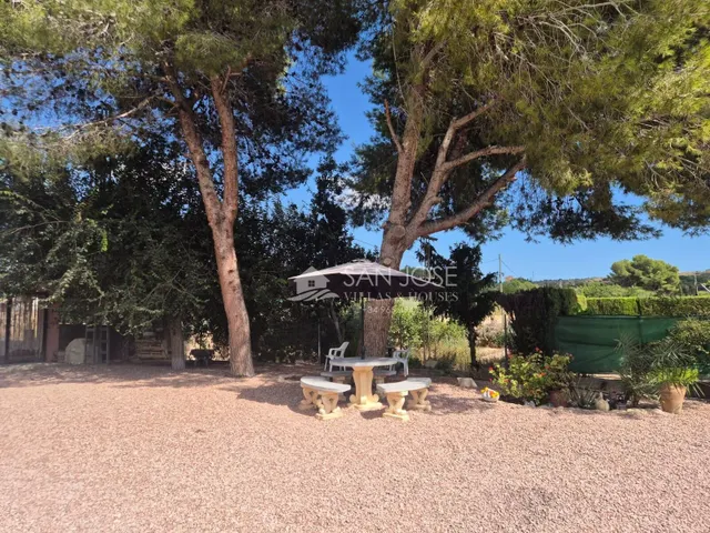 SE VENDE CHALET EN BUEN ESTADO EN MONFORTE DEL CID EN LA ZONA DEL FONT DEL LLOP — 22