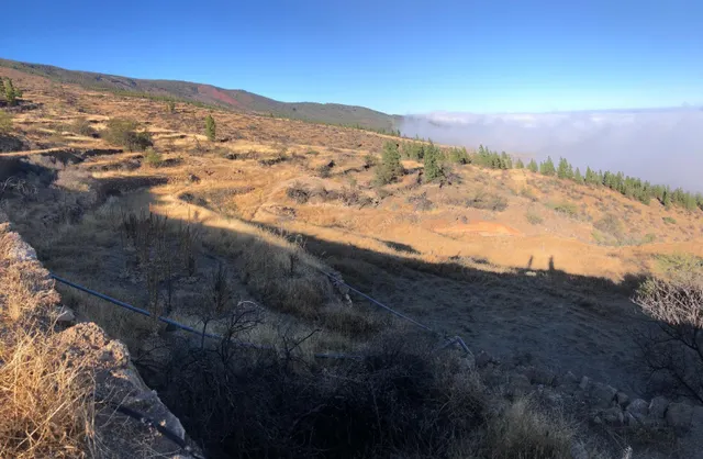 Terreno rústico con encanto y vistas espectaculares — Fasnia, Tenerife — 4