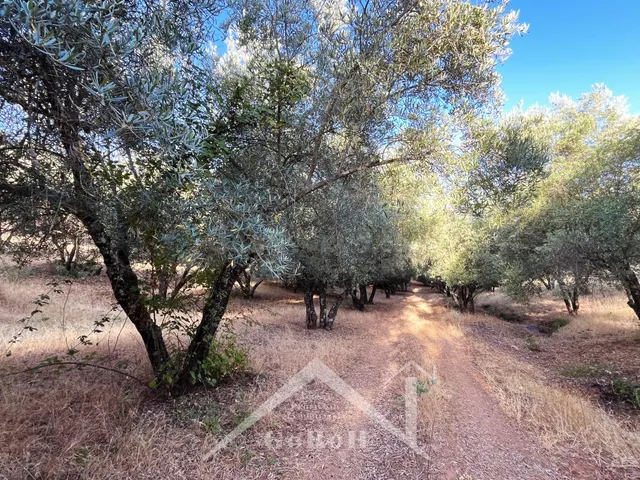 Suelo rústico en Venta en Constantina Sevilla — 15