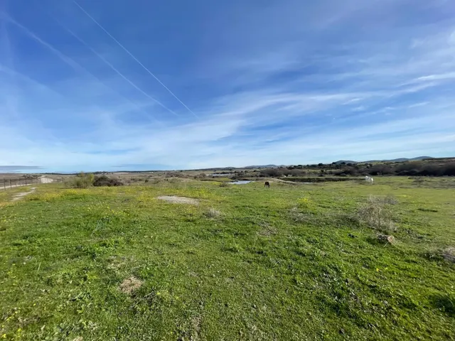 TERRENO DE 30 HECTÁREAS CON VIVIENDA DE UNOS 50 METROS ENTRE CÁCERES Y MALPARTIDA DE CÁCERES — 19