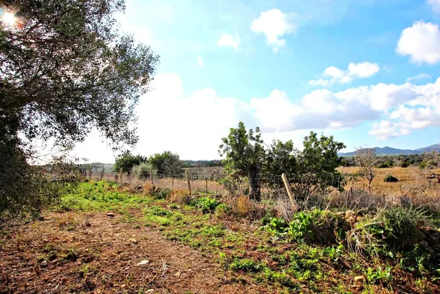 Casa de campo-Masía en Venta en Manacor Baleares - foto 3