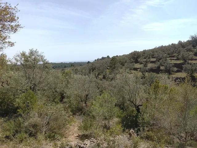 Oportunidad Única: Finca Rústica en L'Aldea por €52,000