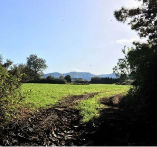 Piso 3724m² en venta - Costa verde - foto 3