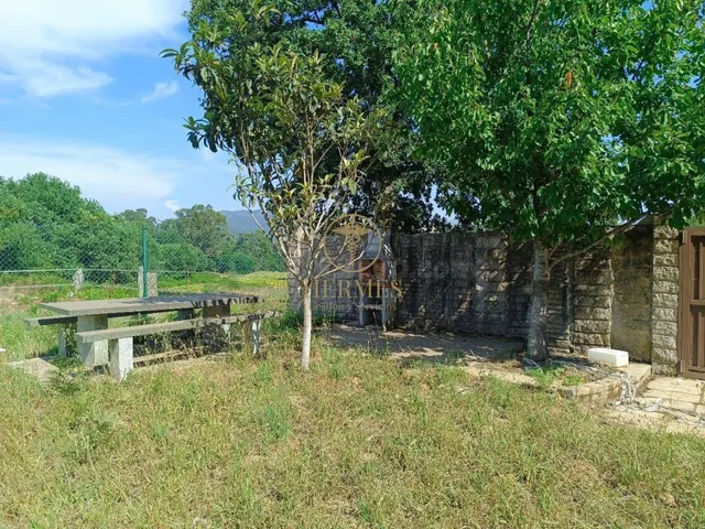 Se vende finca rustica a 1 km de Tui — 7