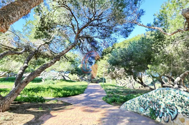 ¡Apartamento en planta baja con gran terraza en Guardamar del Segura! — 43
