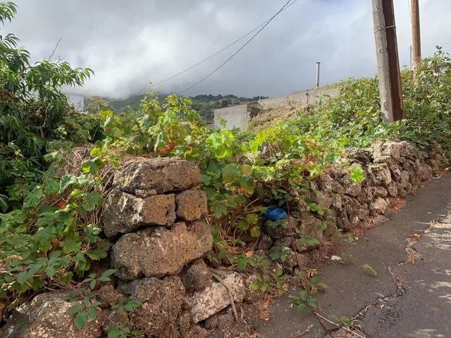 Casa con terreno y muchas posibilidades en El Hoyo del Barrio, El Hierro — 22