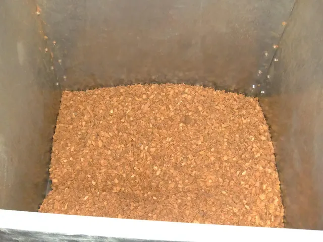 TRASPASO DE HORNO  BOLLERÍA  EN EL BOTANIC — 31